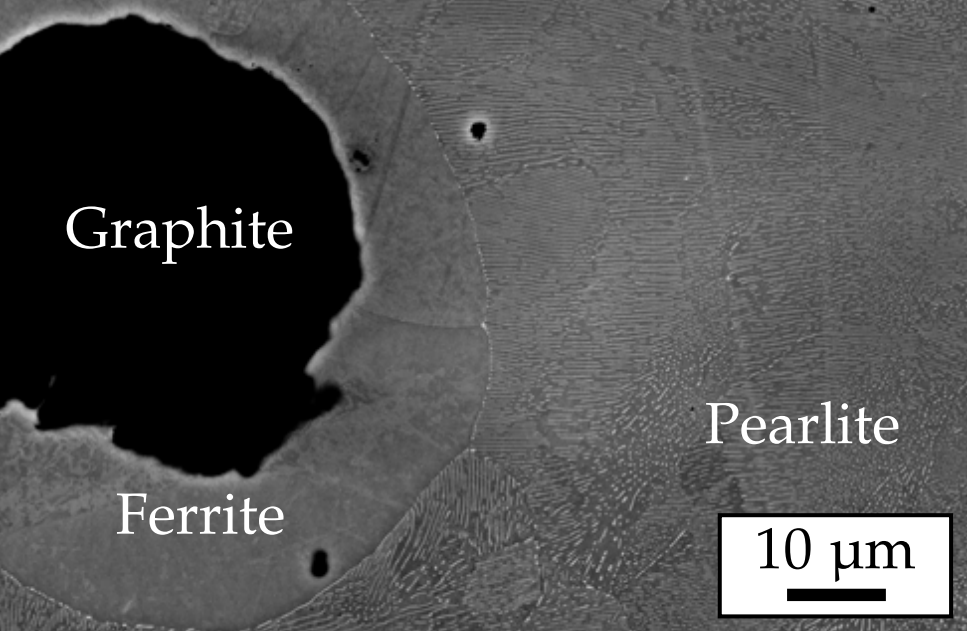 Mikrostruktur perlitischer Gusseisen mit Kugelgrafit
